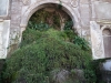 Forum Romanum