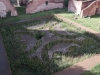 Forum Romanum