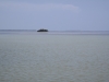 Everglades