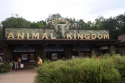 Animal Kingdom