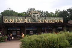 2014 Animal Kingdom