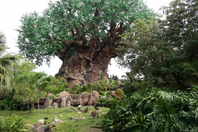 Animal Kingdom