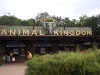 Animal Kingdom