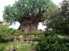 Animal Kingdom