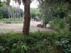 Animal Kingdom