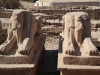Ägypten Ausflug Luxor