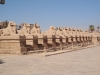 Ägypten Ausflug Luxor