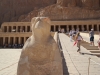 Ägypten Ausflug Luxor