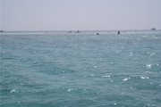 2014 Ägypten Hurghada Schnorcheln