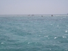 2014 Ägypten Hurghada Schnorcheln